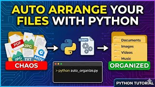 📂Auto Arrange Your Files Using This Python Script | python tutorial