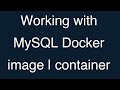 04-Working with MySQL Docker container | image