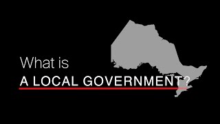 What is a local government?