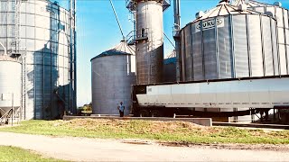 Cutting wheat, Baling Straw and Unloading Wheat at Maybury Farms.