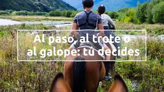 Paseos a caballo