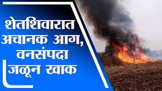 Washim Fire | वाशिममधील मंगरुळपीर येथील दिलीप निळकंठ यांच्या शेतशिवारात अचानक आग -tv9