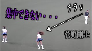 集中できない・・・チアダンスについ目がいってしまう菅野剛士が可愛い【千葉ロッテマリーンズ】