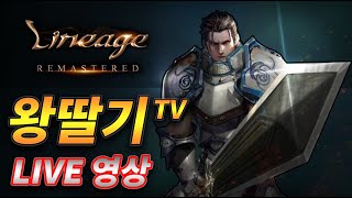 [왕딸기TV]1215 낮 라이브 리니지리마스터