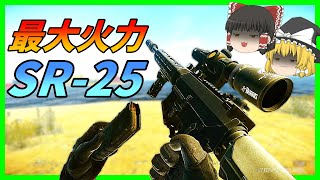 【EFT】#49 SR-25の最強火力でPMC＆サニターを薙ぎ倒す！【タルコフゆっくり実況】