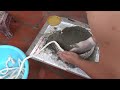 DIY Make Fish Pond From Rope - Amazing Creative Ideas You Can Do At Home