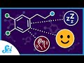 Dopamine Isn’t Just a Happy Chemical