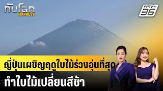 ญี่ปุ่นเผชิญฤดูใบไม้ร่วงอุ่นที่สุด ทำใบไม้เปลี่ยนสีช้า |ทันโลก EXPRESS | 5 ธ.ค. 67