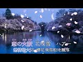 大阪花吹雪 歌詞中譯 工藤あやの cover 胡淑芳