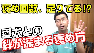 【犬　褒め方】その褒めの回数では問題行動は直らない！〖犬のしつけ幼稚園＠神戸〗byかずま先生