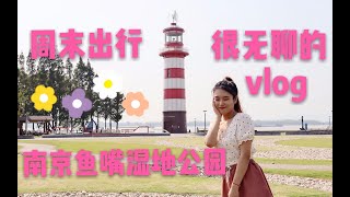 【vlog】周末出游  打卡网红麻辣拌+鱼嘴湿地公园+方老师在线做作