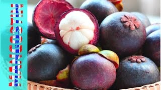 #ВидеоОбзор - Экзотические фрукты -МАНГОСТИН (mangosteen) - вкусный Тайланд с Константином жуком