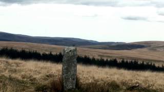 SkyLark Near South Hessary Tor Dartmoor