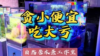 贪小便宜，吃大亏。#玻璃缸中的大自然  #水族用品 #海缸~家庭和办公室的大自然【自然居水景记】