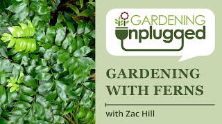 Gardening Unplugged - Gardening with Ferns, with Zac Hill