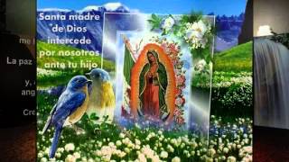 Mi Virgen Ranchera La Dinastia De Tuzantla michoacan..