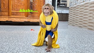 Funny Bath Escape Of Monkeys Hilarious 2025🤣🐒