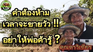 คำต้องห้ามเวลาจะขายวัว !! อย่าให้พ่อค้ารู้ ? จากประสบการณ์ตรงของคุณตาวิเชียร