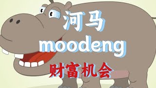 河马币怎么样，moodeng低位蓄力，即将蓄势待发，moodeng最新消息,moodeng可以进场吗#moodeng