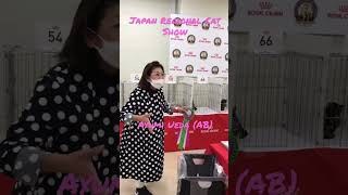 Japan Regional Cat Show