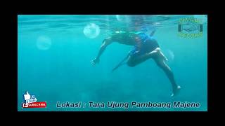 SPEARFISHING/PEMANAH IKAN KEMBAR,Terumbu Karang di Tara Ujung Pamboang Majene Sulbar Part 3 Tgl 05-0