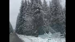 Frosty ride to Signal de botrange - foot of Mont rigi | the highest point of Belgium |Hautes fagnes