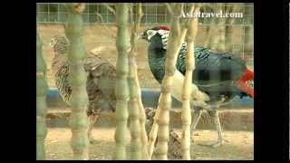 Chainat Bird Park, Thailand by Asiatravel.com