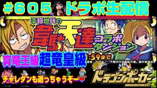 【ドラポ生配信】 #605 コラボスペダン＆コラボチャレダン『平穏世代の韋駄天達』真竜王級＆超竜皇級！チャレダンも逝っちゃうぞー❤【真夜中のドラポ】