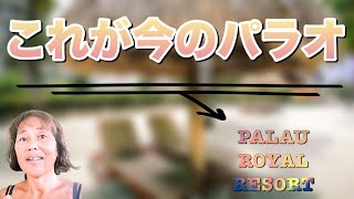 2021年7月 今のパラオの様子です