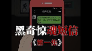 《黑奇惊魂短信》第一集。半夜，手机上突然收到一条短信。你们小区有嘎人犯闯入，今晚十一点，你将会被嘎人犯嘎掉！