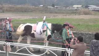 多度大社流鏑馬祭り１