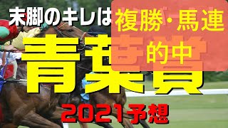 青葉賞【２０２１予想】末脚キレるキングストンボーイ本命！？