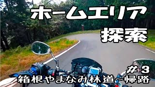 ホームエリア探索 #3 【GLADIUS 400】