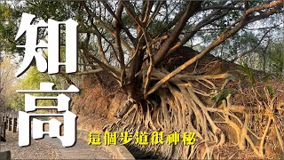 這個步道很神秘 知高圳步道 好漢坡 雪蓮登山步道 學田山 l 登山健行 影音68