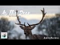 As The Deer (Seperti Rusa Rindu SungaiMu) - Instrumental