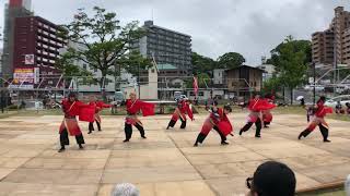 長崎国際大学 世咲國彩 黒崎よさこい祭り 2019.5.19(日)