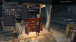 【ddon】偽新人覚者ロックの世界征服道中part1