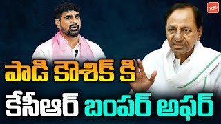 పాడి కౌశిక్ కి కేసీఆర్ బంపర్ అఫర్ | MLC Padi Kaushik Reddy Appointed As Govt Whip | KCR | YOYOTV