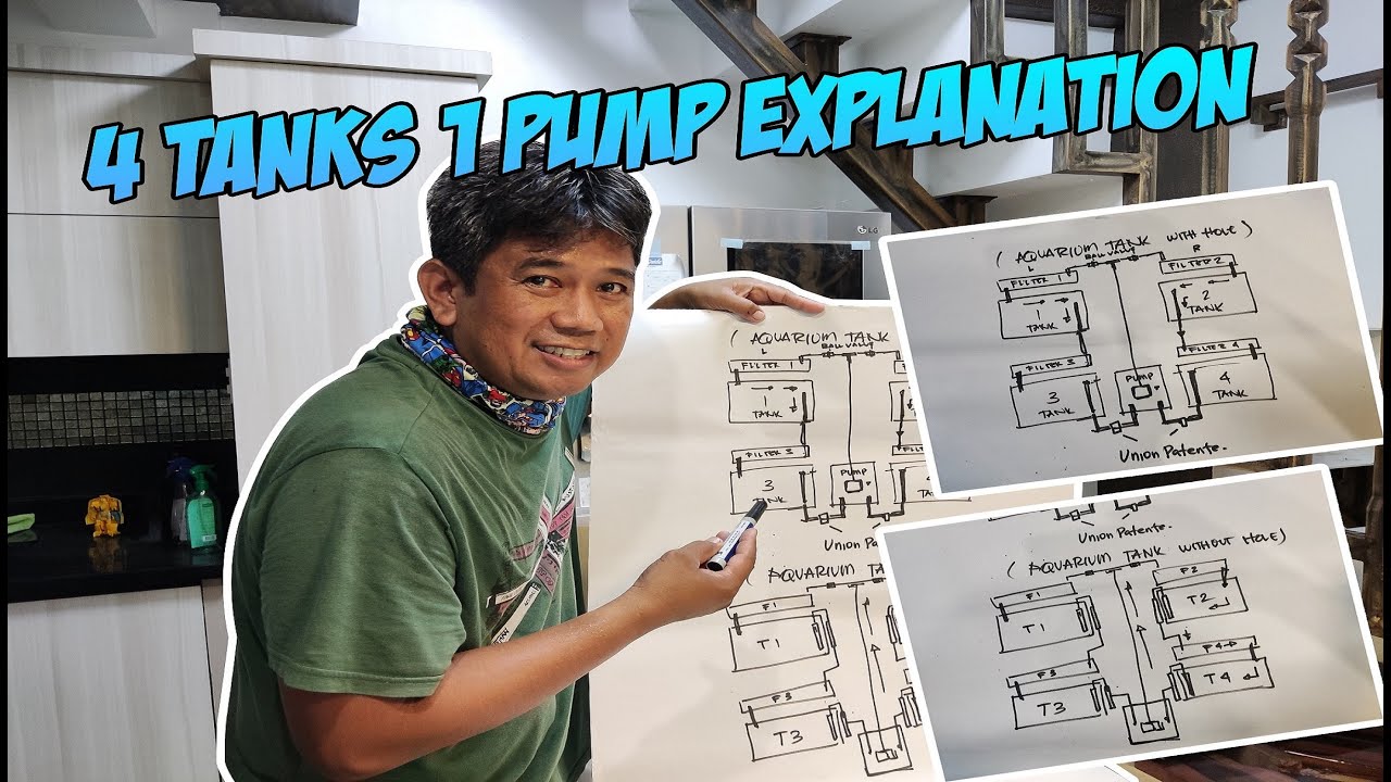 Multiple Tank Setup Youtube