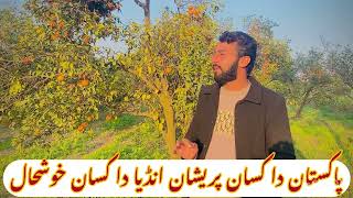 پاکستان دا کسان پریشان انڈیا دا کسان خوشحالpakistan da kisan pershan india da kisan khushal#umarjurr