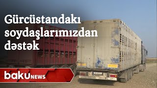 Gürcüstanda yaşayan soydaşlarımızdan orduya dəstək - Baku TV