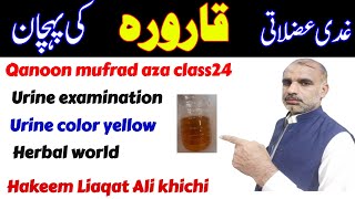 Qanoon mufrad aza class24 || Yellow urine  || Herbal world