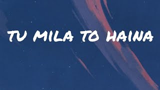 TU MILA TO HAINA [REVERB] | LOFI Vibes