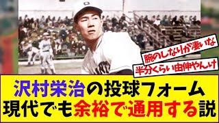 【野球】現代野球でも通用する？沢村栄治のフォーム【反応集】