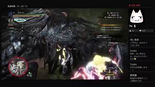 エンジョイ勢が行くぐうたら主婦のMHW:IB #10