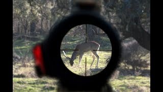 MEJORES DISPAROS DE CAZA || ULTIMATE HUNTING || VOLUME 2