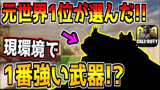 元世界1位が選んだこのゲームで一番強い武器がやばい!!【CODモバイル】