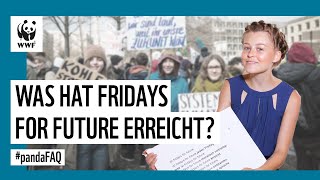 Fridays for Future: Ist es moralisch vertretbar? Clara Meyer von #FFF im Interview | #pandaFAQ