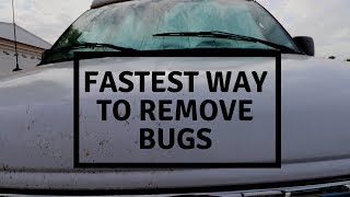 HOW TO REMOVE BUGS FROM AN RV OR CAR