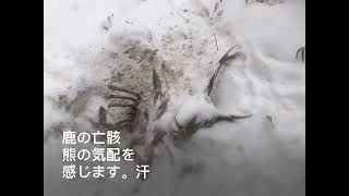 残雪期の奥秩父縦走